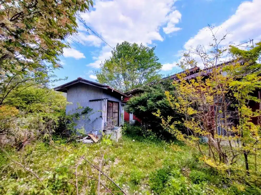 解体工事_現地調査