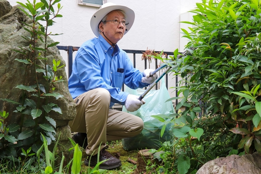 庭を手入れしている様子